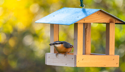 Bird feeder shaped like a small house with a Eurasian nuthatch (Sitta europaea) eating sunflower seeds, set against a soft autumn-colored background.