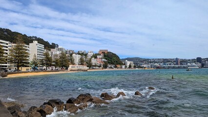 Scenic landscape view of houses and apartments in Oriental Bay with sea views overlooking harbour...