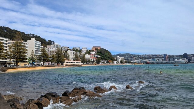 Scenic landscape view of houses and apartments in Oriental Bay with sea views overlooking harbour in capital city of Wellington, New Zealand Aotearoa