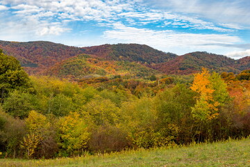 Autumn mountain landscape with fields and forests in vibrant fall colors
