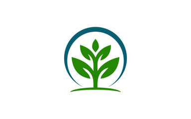 Green leaf icons. Leaves of trees and plants. Leaves icon