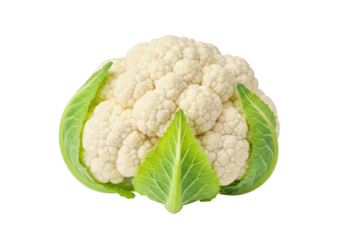 Isolated cauliflower head vegetable closeup, raw diet food ingredient and nutritious source