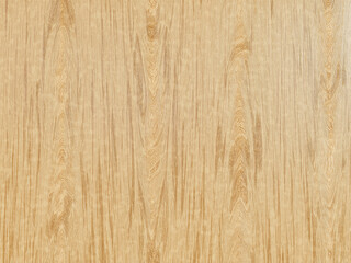 Obraz premium Light oak wood texture with smooth grain pattern.