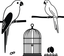 Two parrots perched on branches near a birdcage and some seeds in a black and white illustration