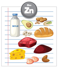 Zinc-Rich Foods Vector Illustration on Lined Paper