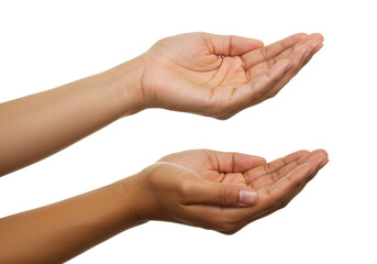 Isolated Pair of Hands Cupped Upwards, Palms Open as if Presenting or Holding Something