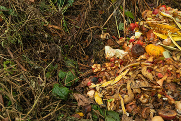 Compost pile made of organic food, leaves, vegetable and fruit waste mix