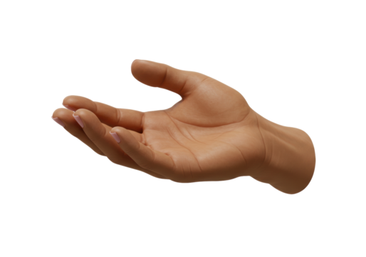 Isolated empty palm outstretched, offering gesture, asking, receiving or giving object