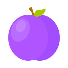 Dark purple plum. Round summer fruit. Isolated Vector dessert. Juicy sweet produce.