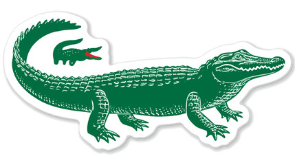 Obraz premium Vibrant green alligator illustration, a predatory reptile symbol for design, stylized swamp creature artwork with a unique touch.