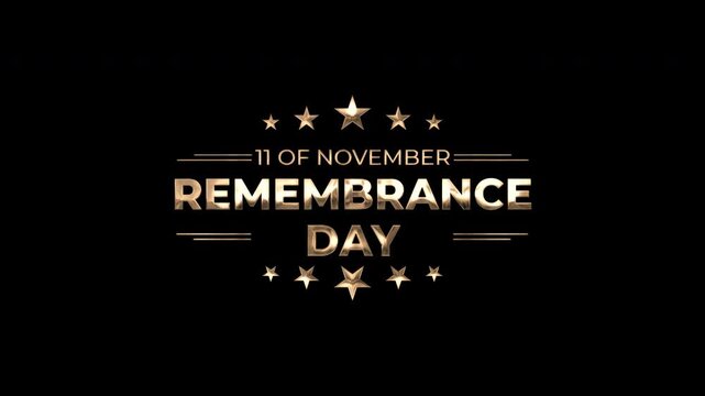 Remembrance day Animation with stars, ideal for commemorating november 11. Perfect for educational materials, event promotions, and social media posts.