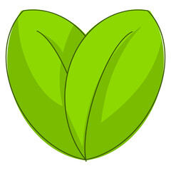 Two green leaves together symbolizing nature, purity, and environmental harmony.