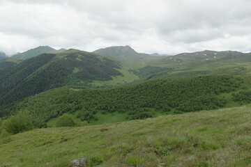 Naklejka premium The summer mountains of Arkhyz are covered with rolling meadows, green ridges, forests and solitary trees