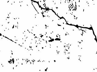 Obraz premium White black grey wall, floor with cracks, texture background