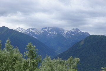 Obraz premium Arkhyz summer mountains with a snowcap on their peaks, covered with rolling meadows, green ridges, forests and lonely trees