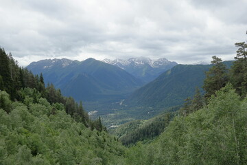 Arkhyz summer mountains with a snowcap on their peaks, covered with rolling meadows, green ridges, forests and lonely trees