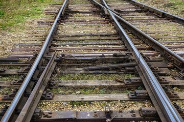 Fototapeta premium Close-up of a weathered railway switch with rusty steel rails and overgrown vegetation between the wooden sleepers. Industrial decay theme with copy space
