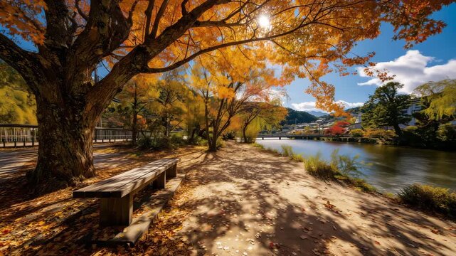 秋晴れの昼下がりの公園