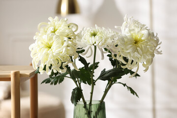 Beautiful white chrysanthemum flowers in vase on wooden shelf indoors, closeup