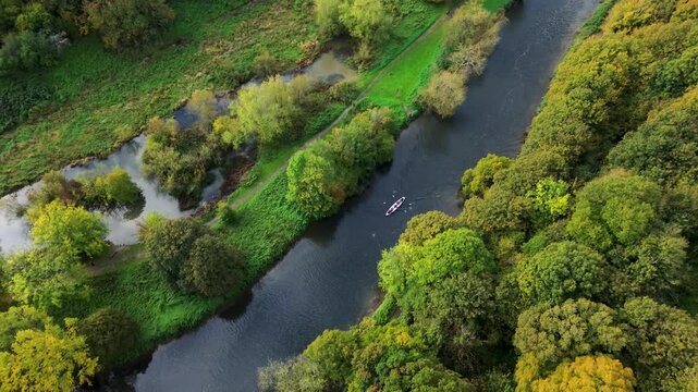 Drone video of a rowing team gliding along a calm river surrounded by lush green trees and autumn foliage.