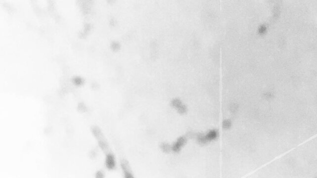 Black white noise scratch texture stop motion animation overlay for video and motion graphics