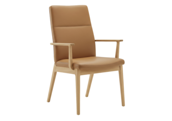 Isolated Armchair with Wood Frame and Tan Leather Upholstery on Seamless Background