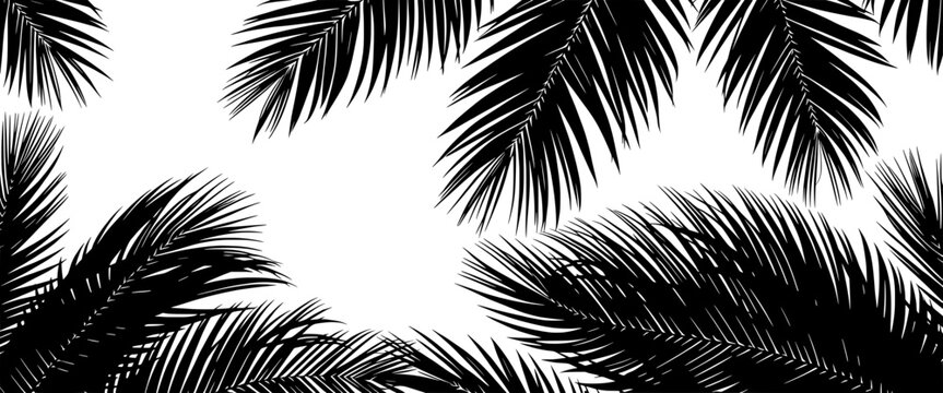 silhouetted palm leaves against a white background creating a tropical border