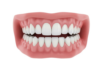 Isolated denture prosthesis of human teeth, model for dental practice, education and care