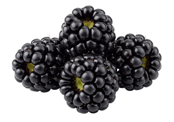 Isolated blackberries group, juicy dark blackberries stacked together, fruit, berry goodness