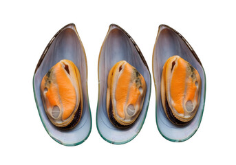 Three fresh mussels on the half shell isolated on transparent background