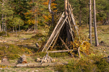 An improvised wilderness shelter made of branches with a campfire pit in front, built by hand in a forest clearing. A rustic survival and camping scene.

