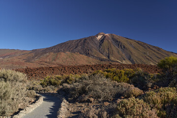 Trail leading to Mount Teide