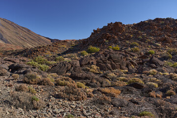 Volcanic terrain near Mount Teide