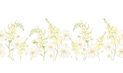 Watercolor floral border with white daisies and yellow foxglove flowers isolated on transparent background