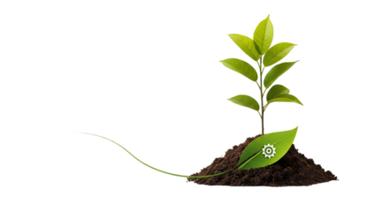 Young Green Plant Growing in Soil with Eco Icon on Leaf
