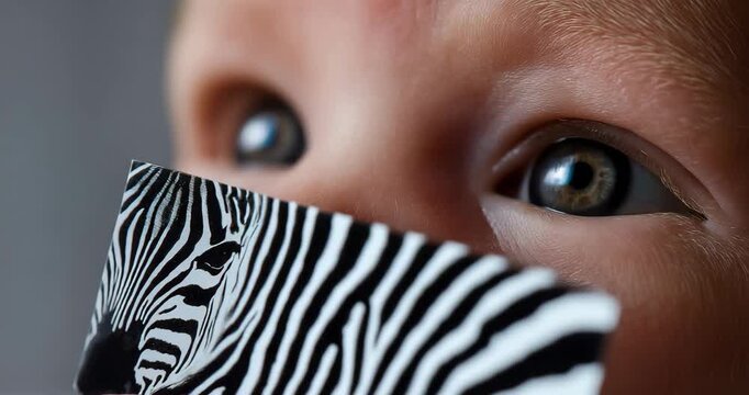 Newborn Two-Weeks Zebra-Stripe Card High-Contrast Pupils