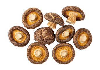 Isolated Shiitake mushrooms group close-up, dried organic vegetable food, brown, yellow caps
