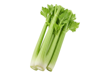 Isolated celery stalks with green leafy tops, a healthy and versatile vegetable choice