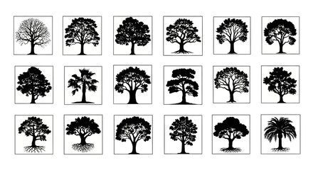 Assorted black and white tree silhouettes illustration showcasing arboreal diversity