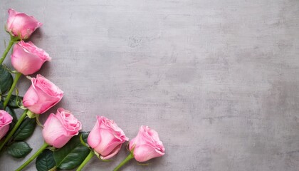 elegant pink roses arranged on soft gray surface with green leaves serene mood banner copy space