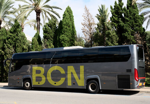 gray bus rests along the street under bright sunlight and swaying palm trees In Barcelona 