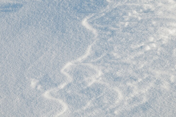 雪原にできた風紋