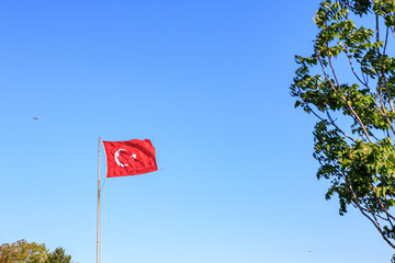 Turkish flag waving against clear blue sky with partial tree view