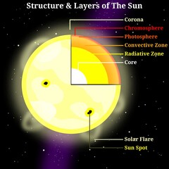 Structure and Internal Layers of The Sun – Scientific Infographic