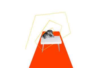 Creative image picture mature woman fall asleep spiral overwhelmed workaholic tired workspace table employee job drawing background