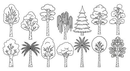 Detailed line art illustration showcasing a variety of diverse tree species and shapes