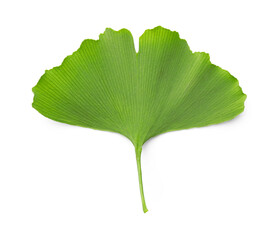 Fototapeta premium One ginkgo biloba leaf isolated on white