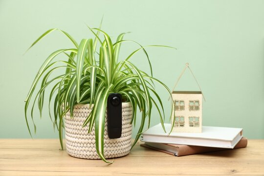 Hidden spy camera on houseplant, books and decorative house on wooden table against green background