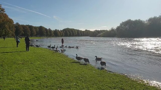 A flood on the river Trent in Nottingham, UK 