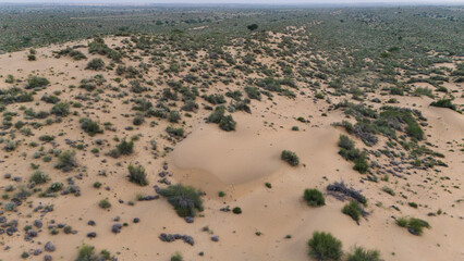 Aerial view of Khuri sand dunes in Jaisalmer, Rajasthan, after sunset, showing desert vegetation like Khejri, Rohida, Babool, and Ker trees with soft twilight sky and golden sand textures.